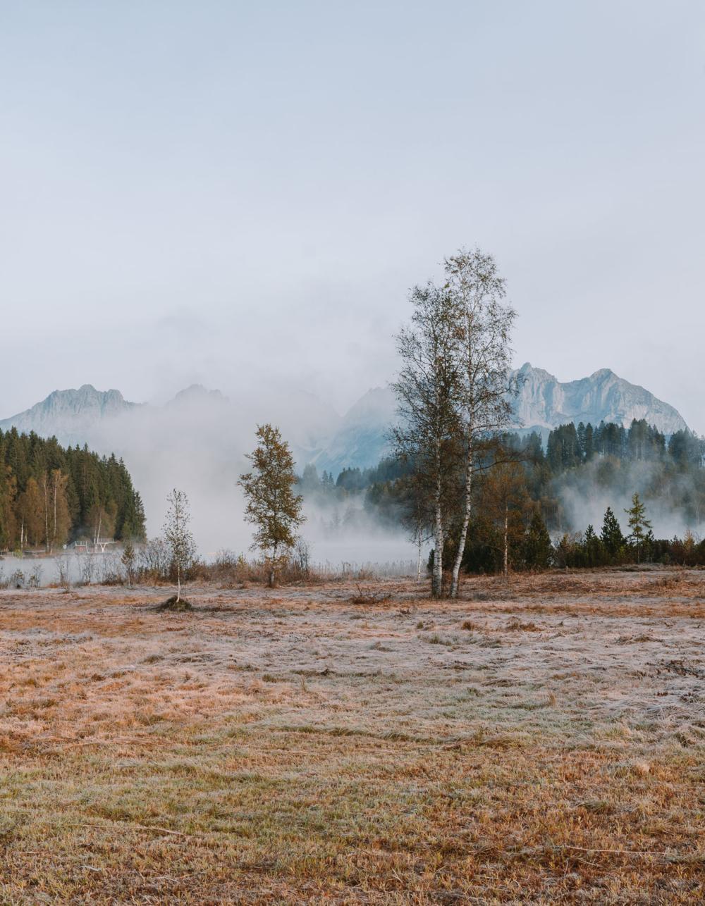 Frostige Wiese mit Bäumen und nebligen Bergen beim Schlosshotel Kitzbühel