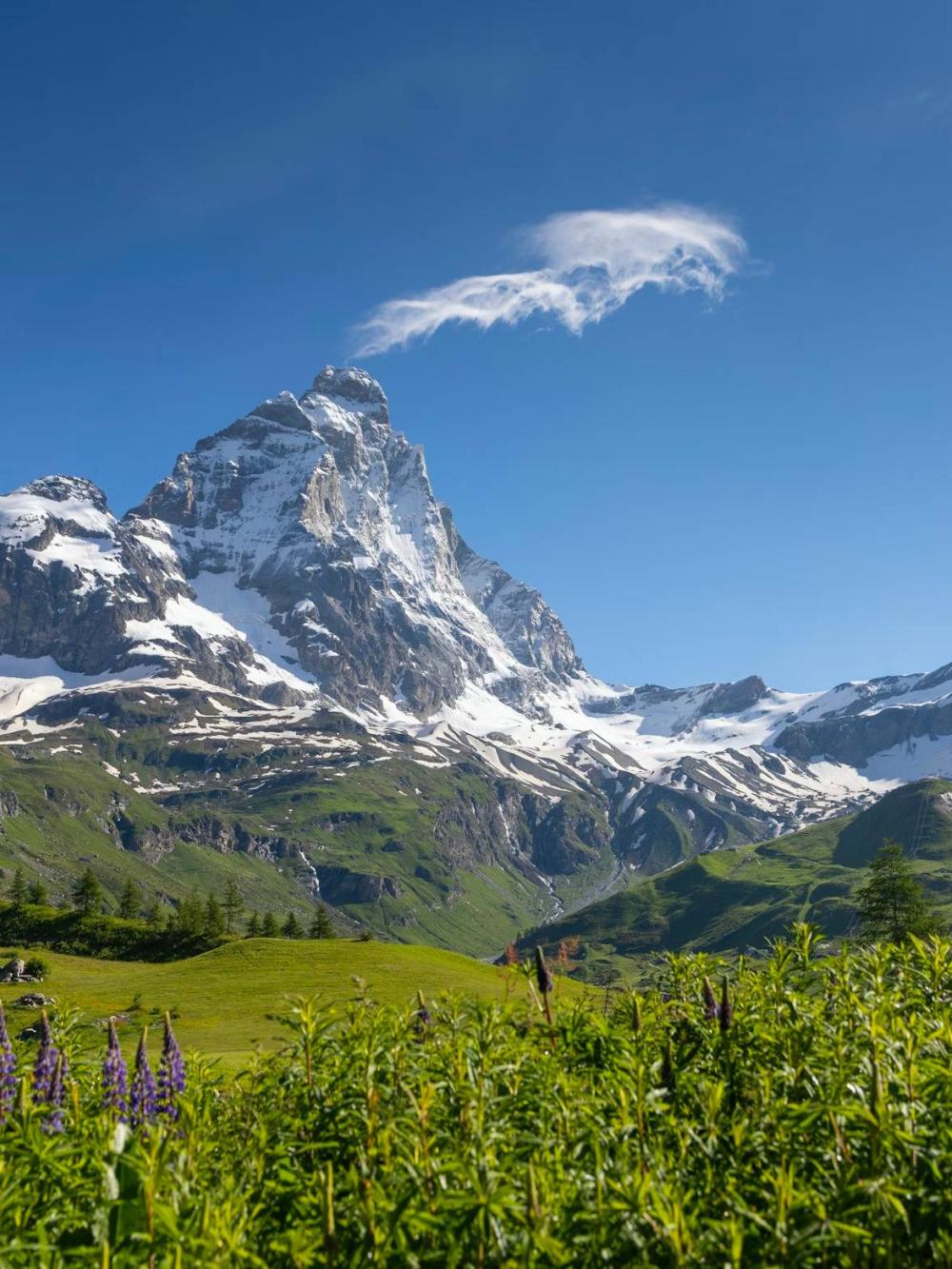 Cervino Matterhorn Ultra Race