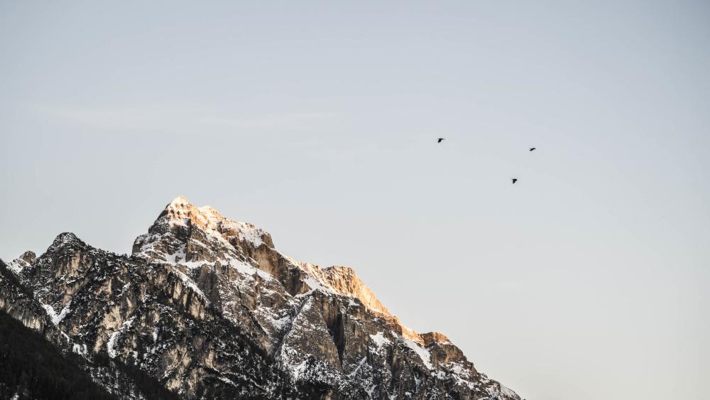 Excelsior Dolomites Life Resort