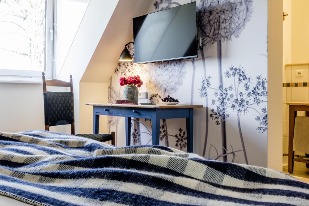 Gemütliches Gästezimmer mit TV und Gartendekor im Kloster Hornbach