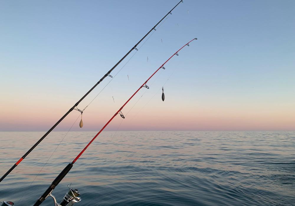 Experience Pescaturismo con skipper esperto