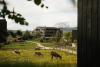 Green Luxury Hotel Pfösl – Dolomites
