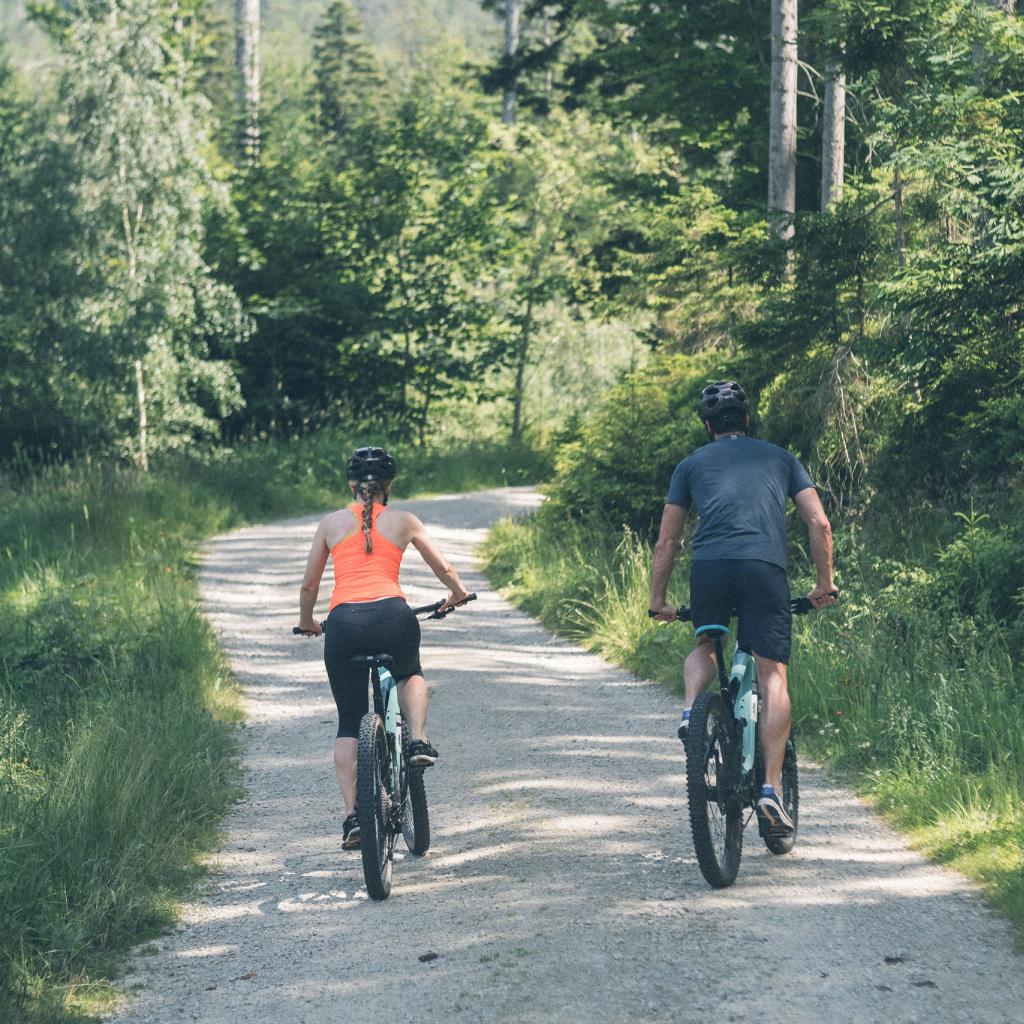 Zwei Radfahrer auf Waldweg in der Natur bei Eibl-Brunner