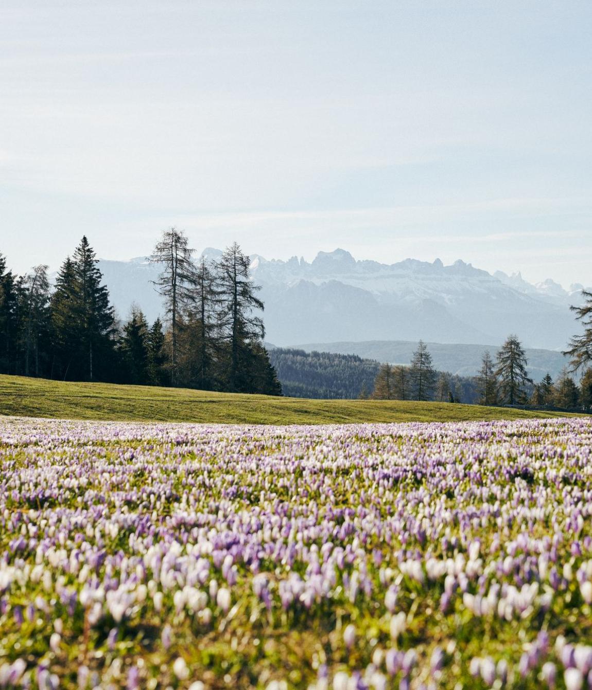 So läuft der Hase – Osterspecial