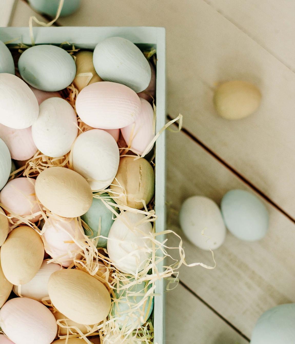 Großartige Familienzeit – Kinder bis 12 gratis!