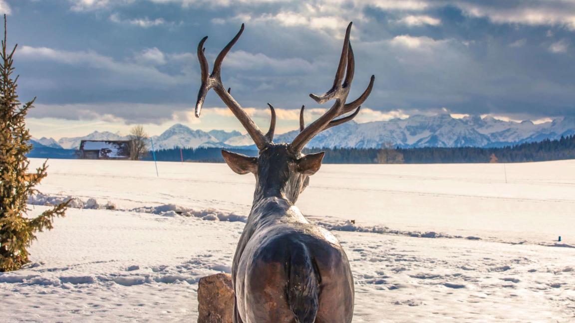 Weihnachten mit Weitblick