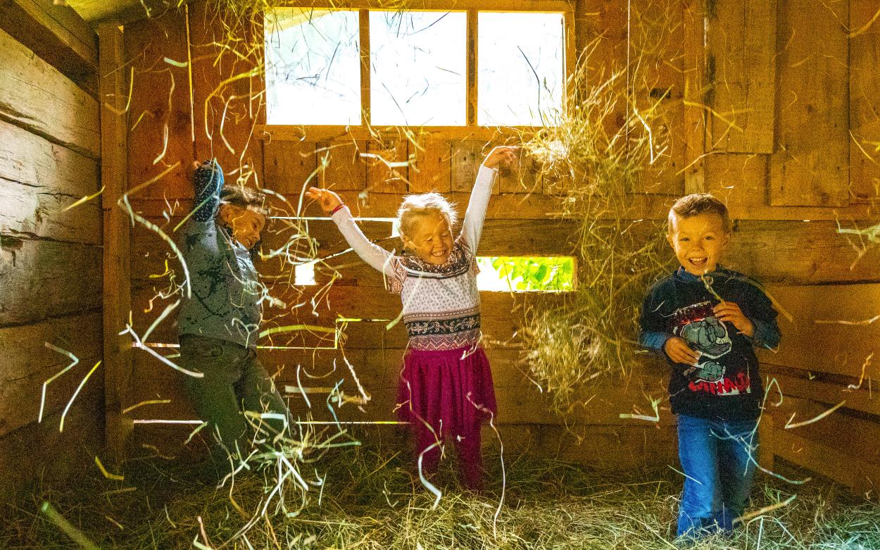 November special offer 4=3 and 7=6