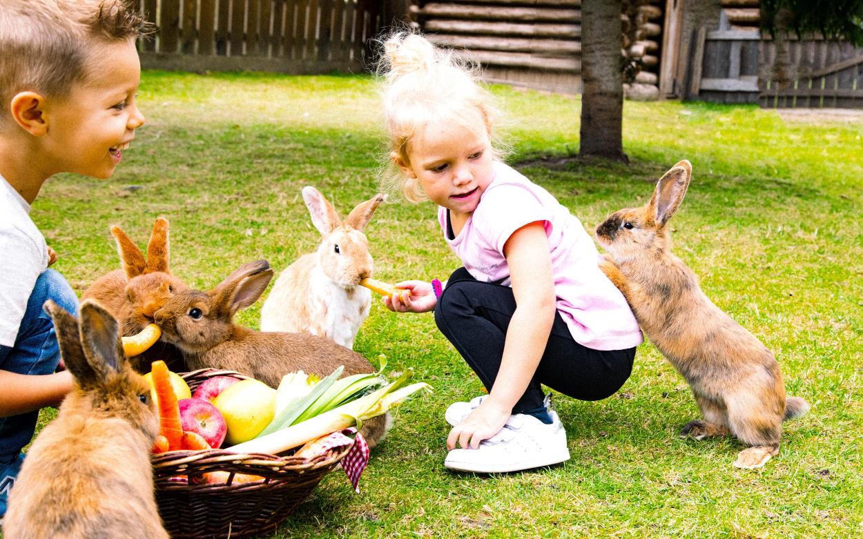 Oster-Special im Chalet