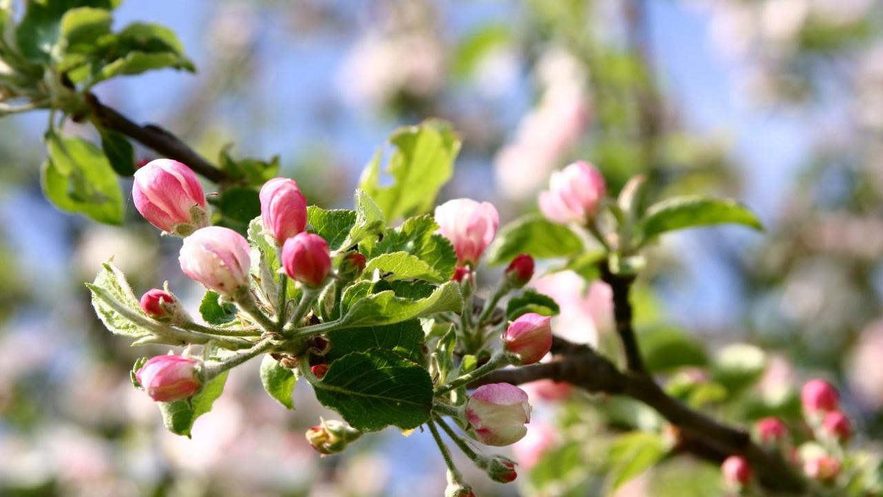 Whitsun in Bavaria - 4 days