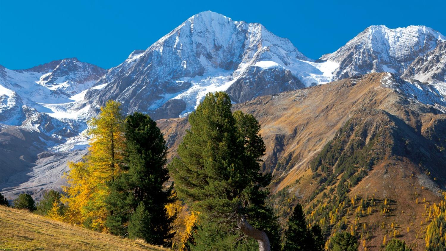 Goldener Herbst in den Bergen – wenn Farben leuchten und Gipfel glänzen