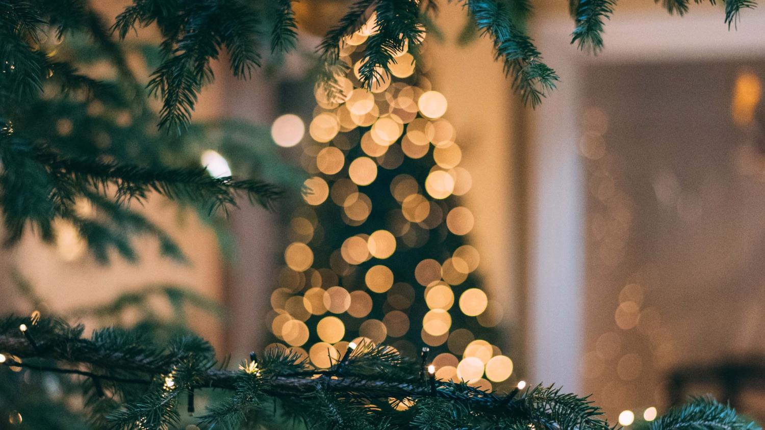 ADVENTZAUBER