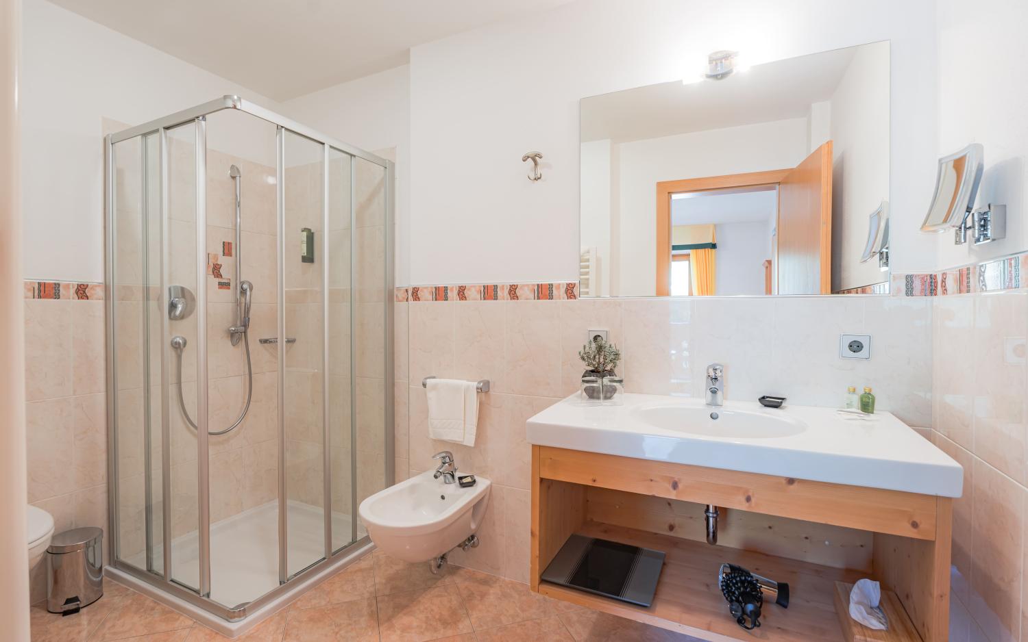 Hotel Weiher bathroom with shower, sink, and bidet in a modern design