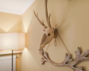 Alpine Suite