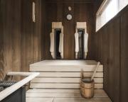 Forest Suite