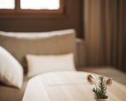 Suite wellness bagni alpini Deluxe