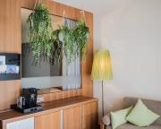 Lime tree suite