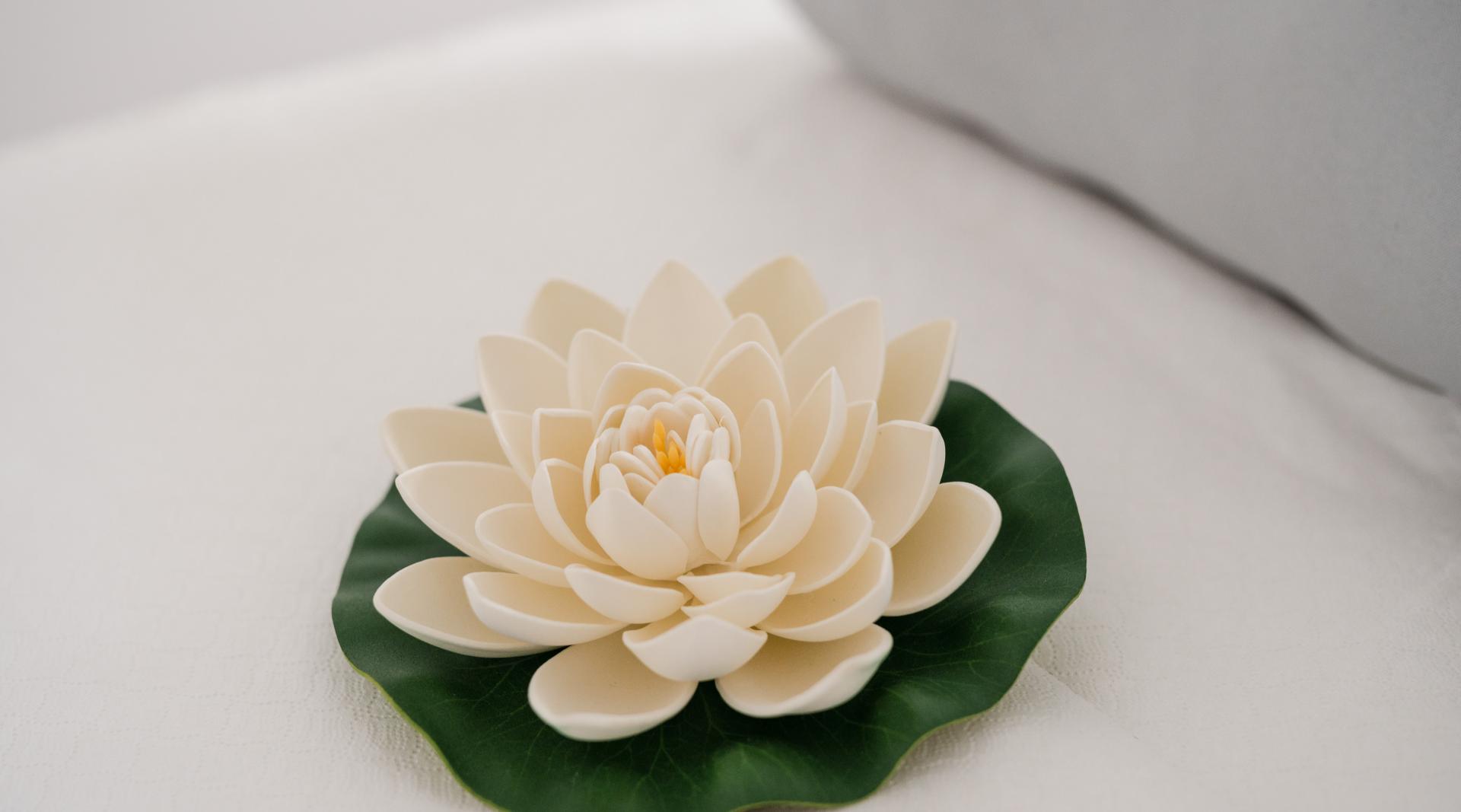 Stay Healthy, Stay Natural!