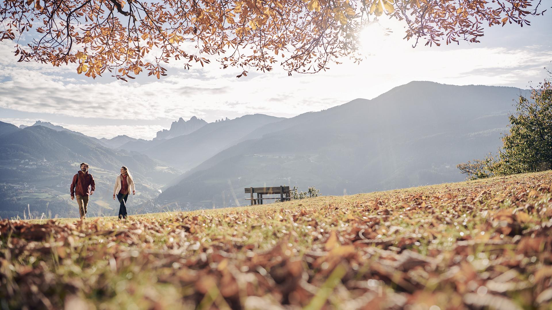 Wein. Wandern. Wellness.