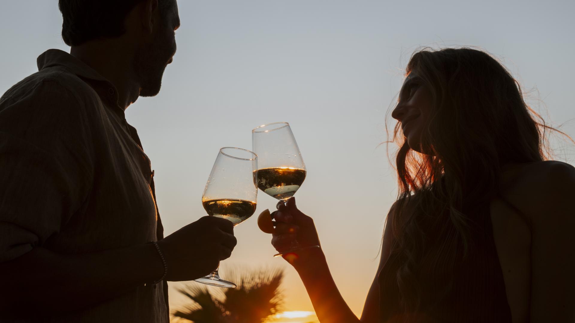 Experience Degustazione Vini Bolgheri