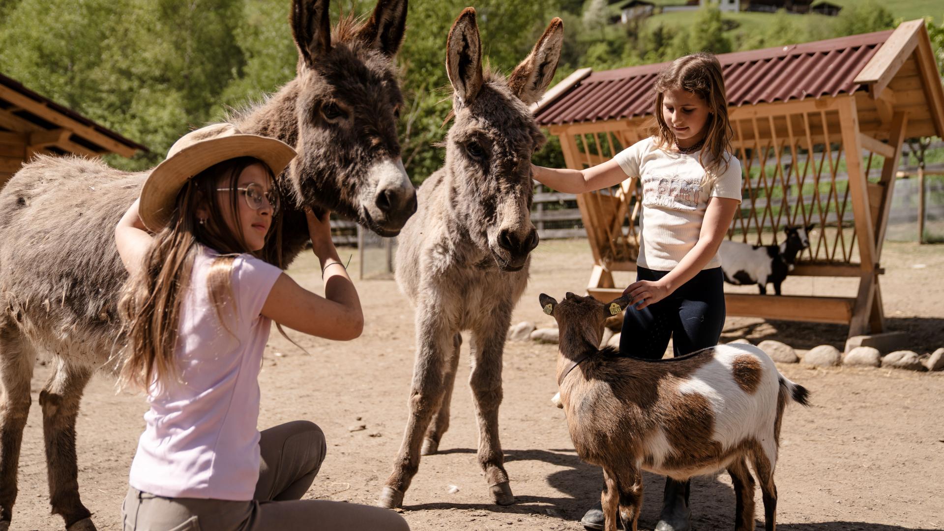 FAMILY FUN: Felicità in famiglia tra le montagne