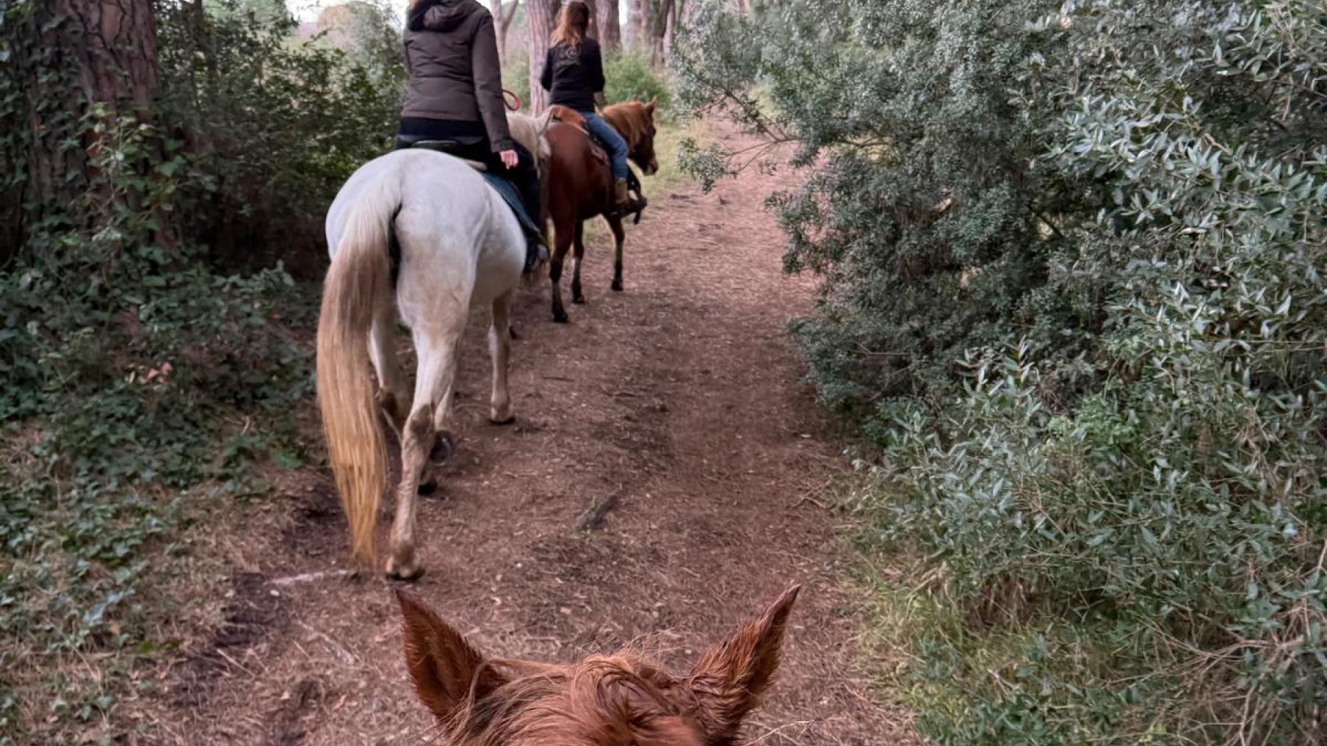 A CAVALLO TRA MARE E NATURA 