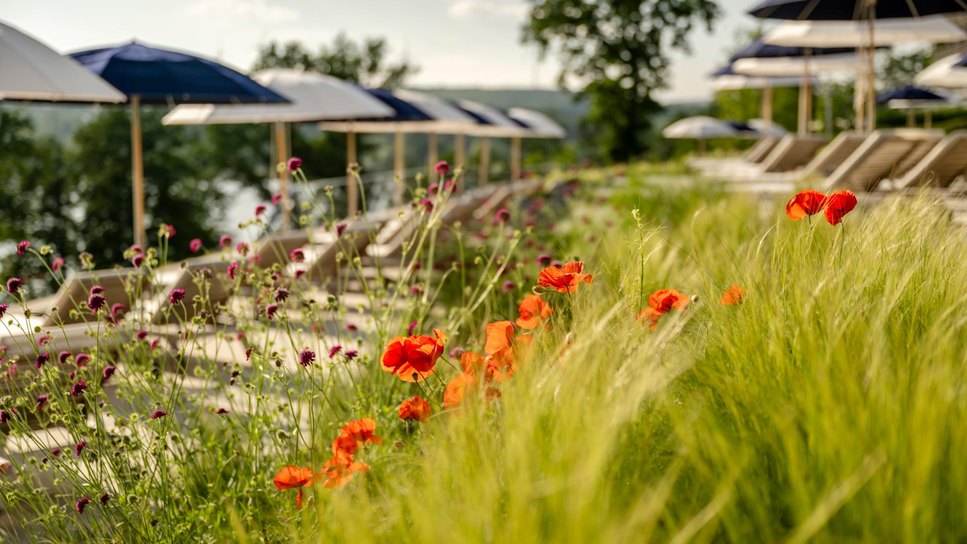 Spring freshness by the lake