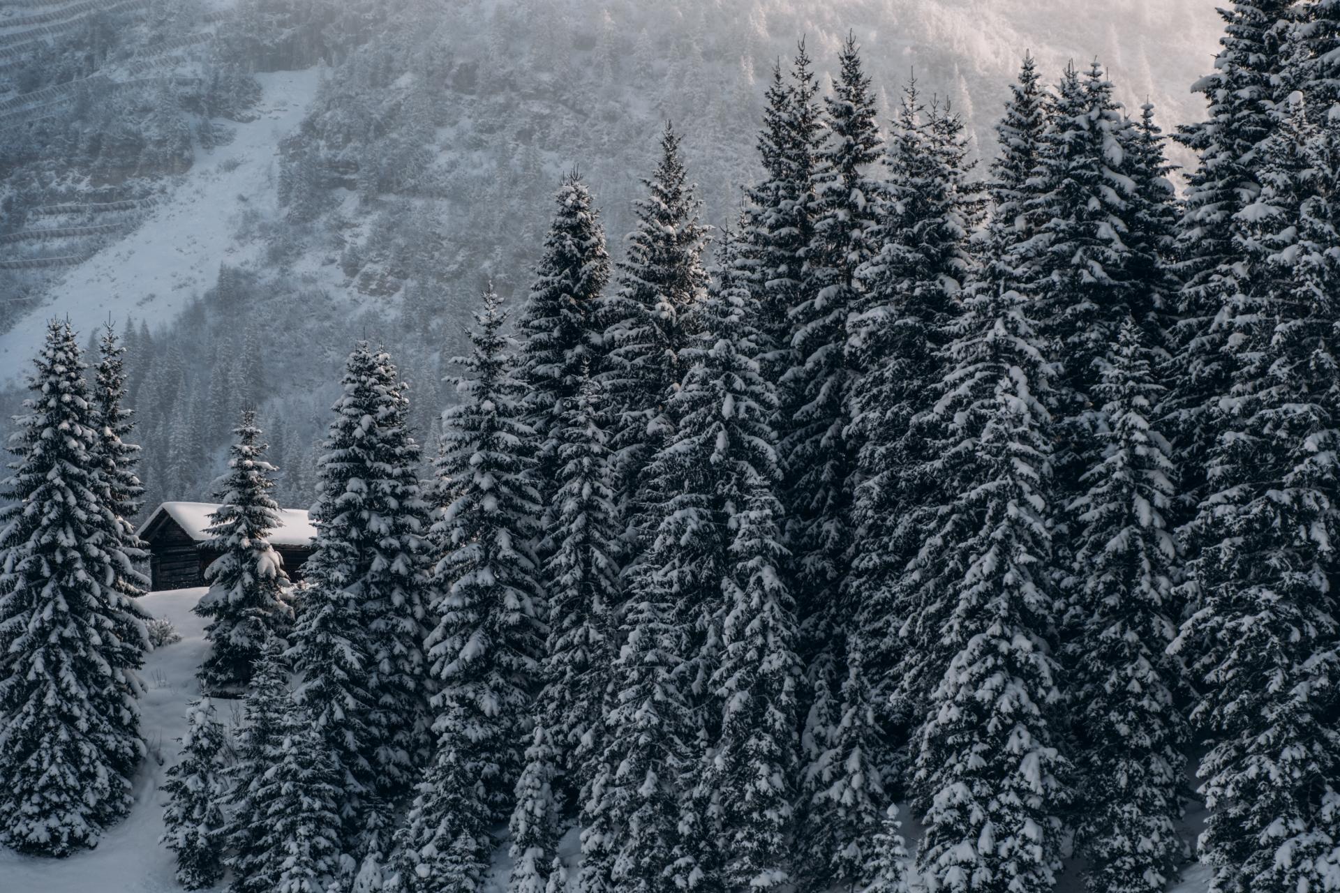 Winterzauber in Lech-ZÜrs