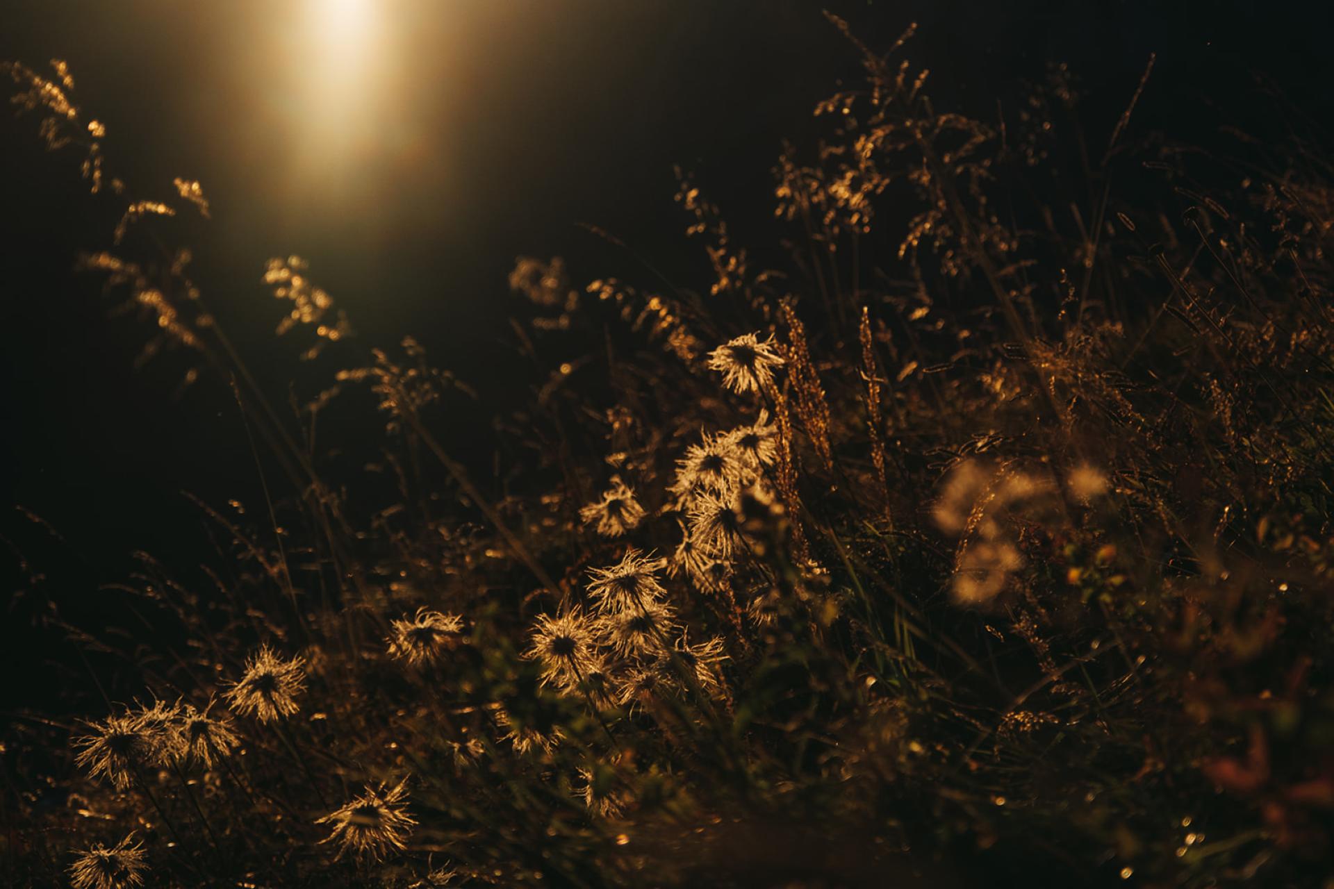 Goldener Wanderherbst in Lech – bleiben Sie etwas länger