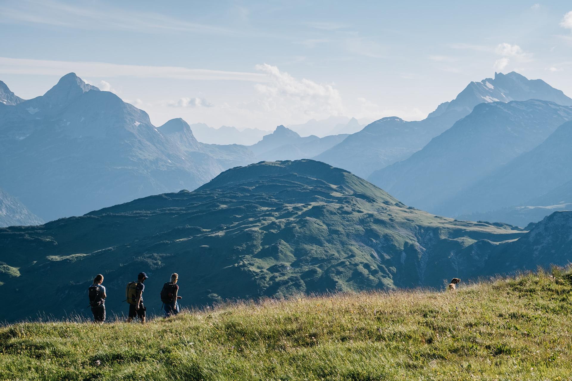 Hotel Aurora Wanderer auf grünem Hügel mit Alpen im Hintergrund