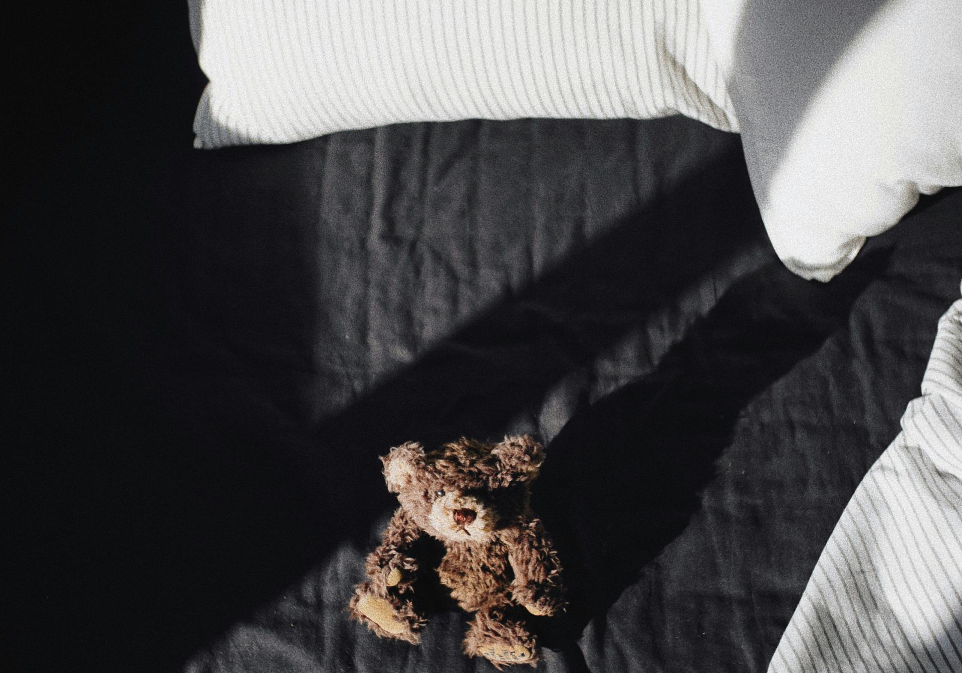 Kuscheltier auf schwarzem Bett mit weißen Kissen im Glockna Licht
