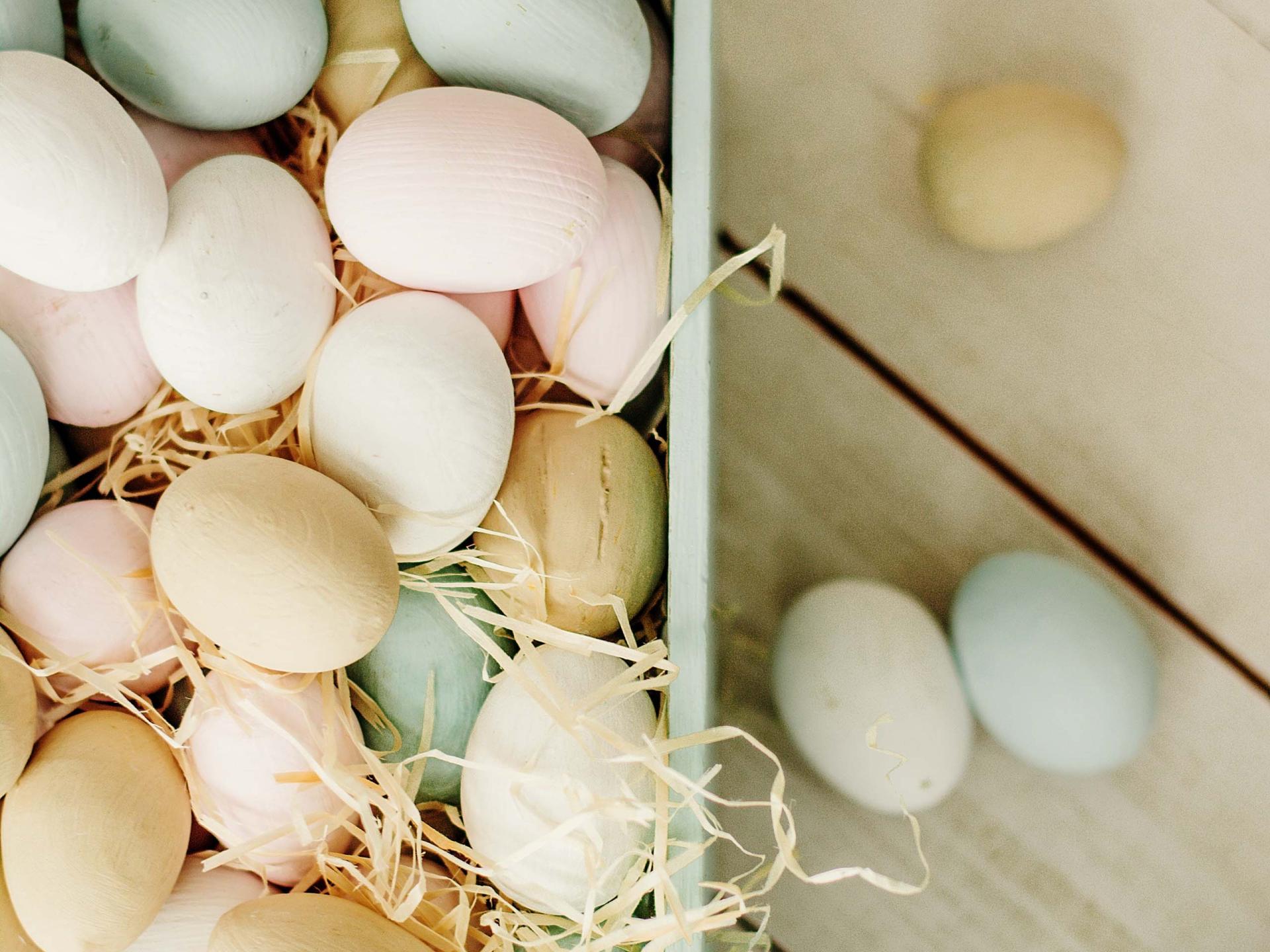 Great family time – children up to 12 years old go free!