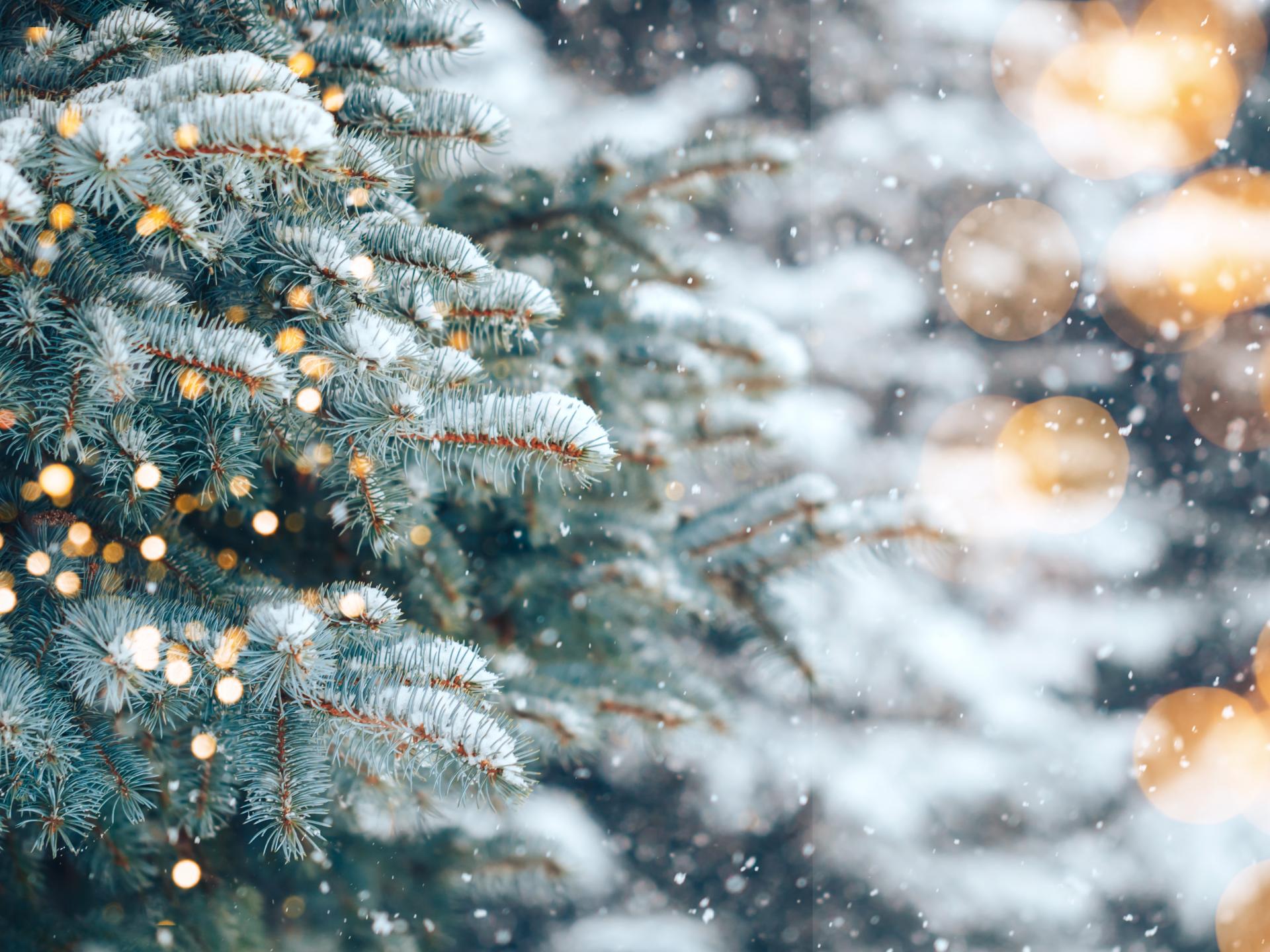Weihnachten auf 900 Höhenmetern