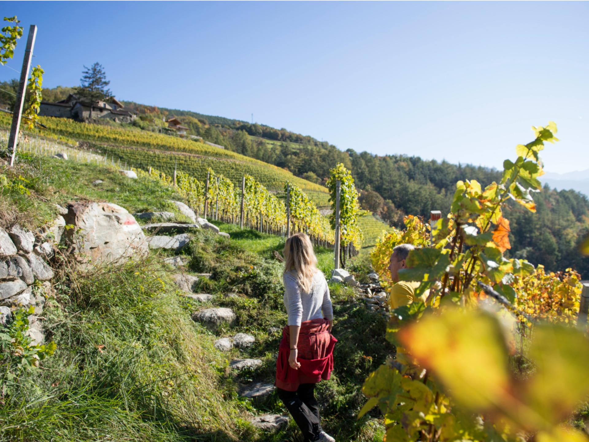 Speciale autunno 4=3