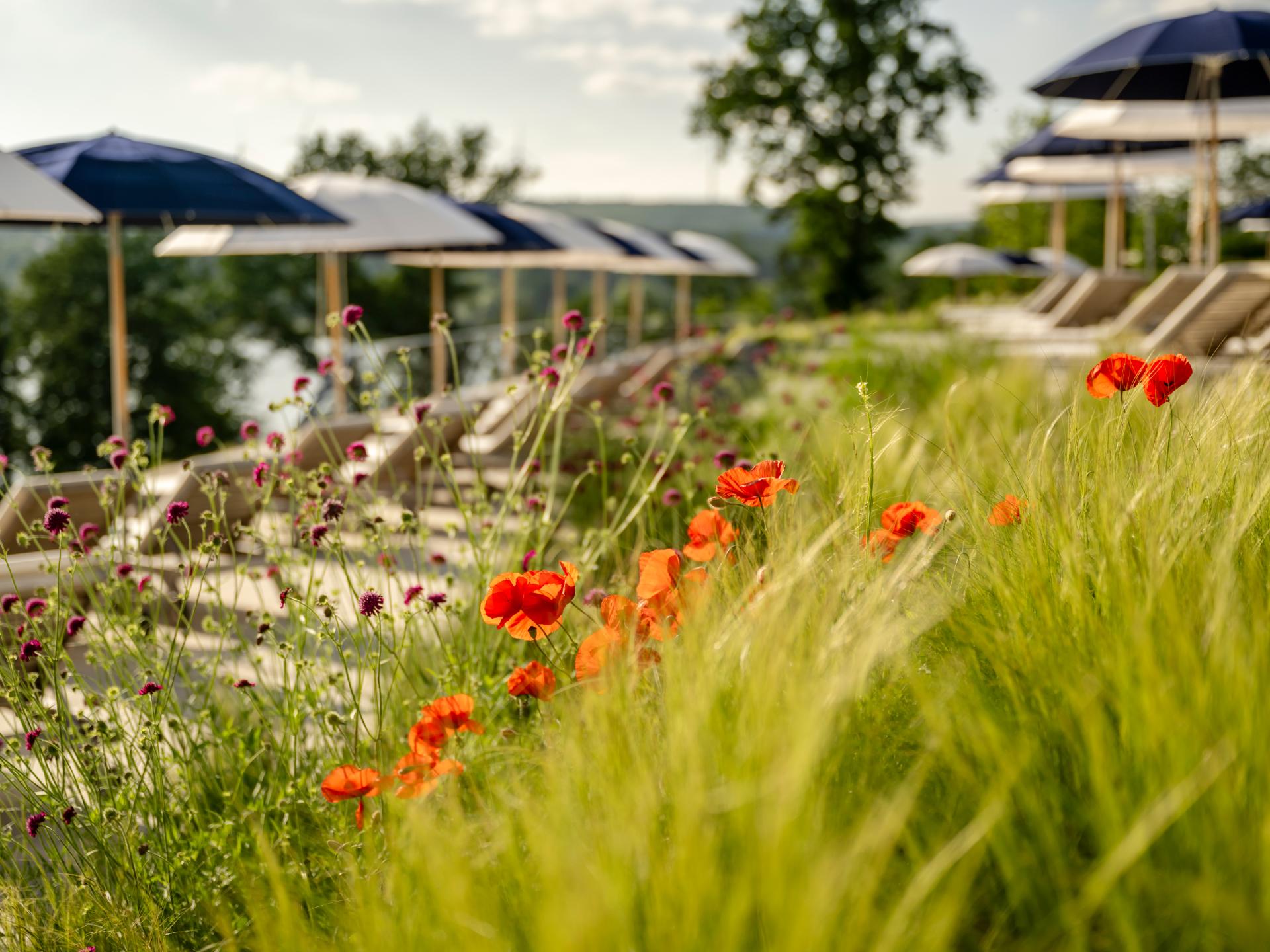 Spring freshness by the lake