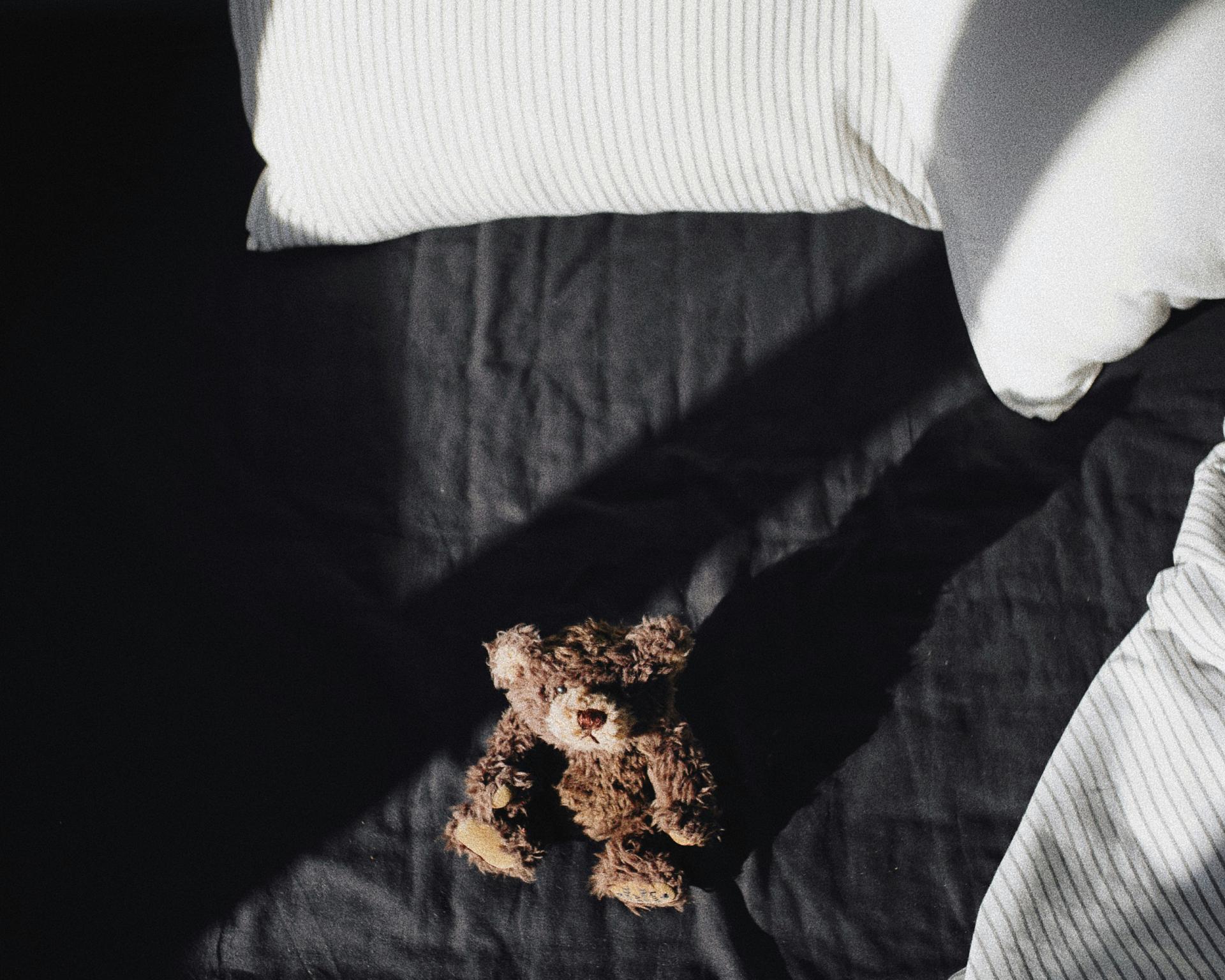 Kuscheltier auf schwarzem Bett mit weißen Kissen im Glockna Licht