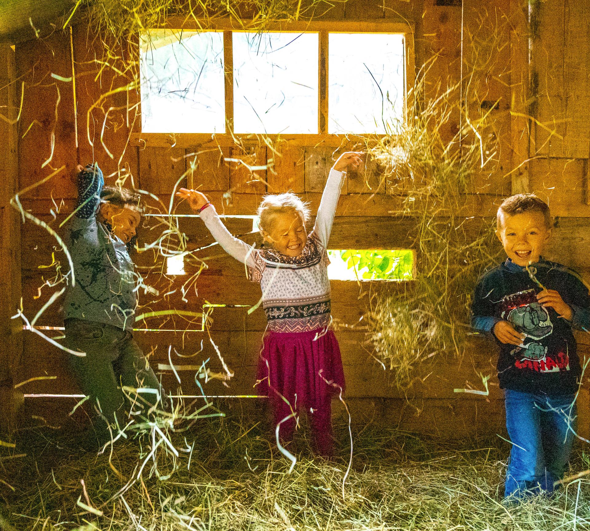 November special offer 4=3 and 7=6