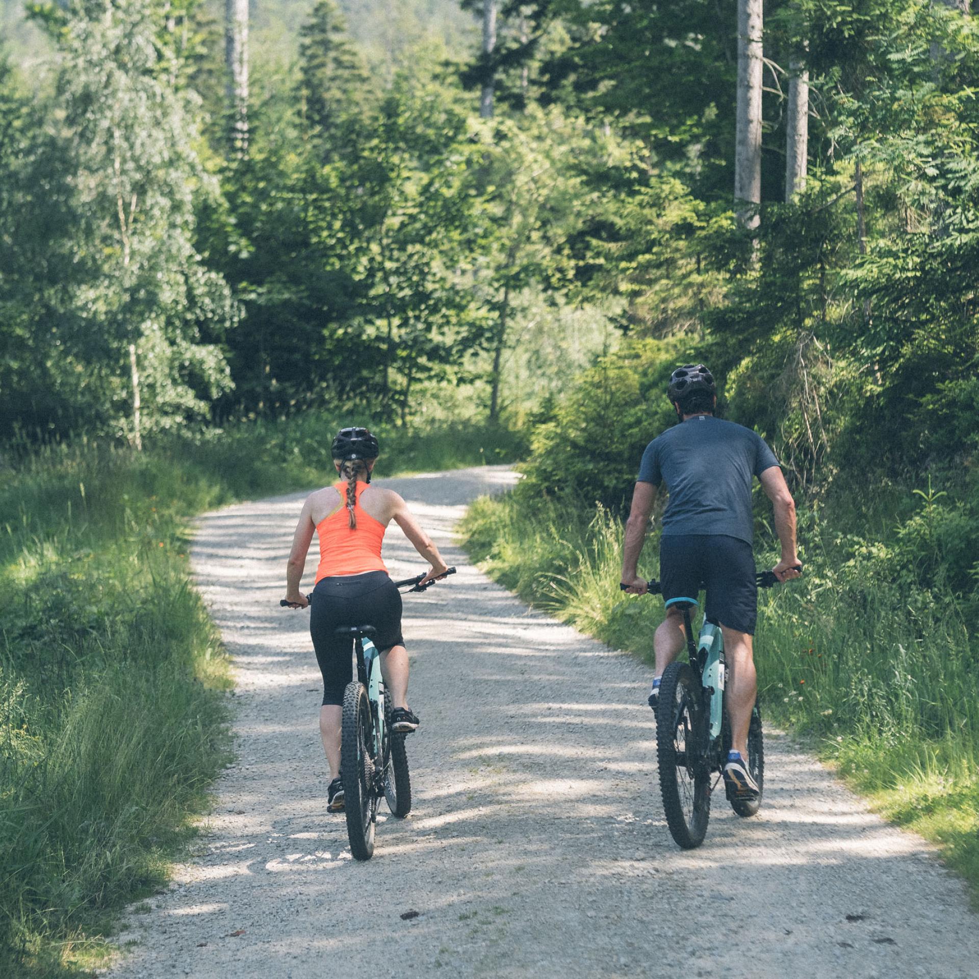 Zwei Radfahrer auf Waldweg in der Natur bei Eibl-Brunner