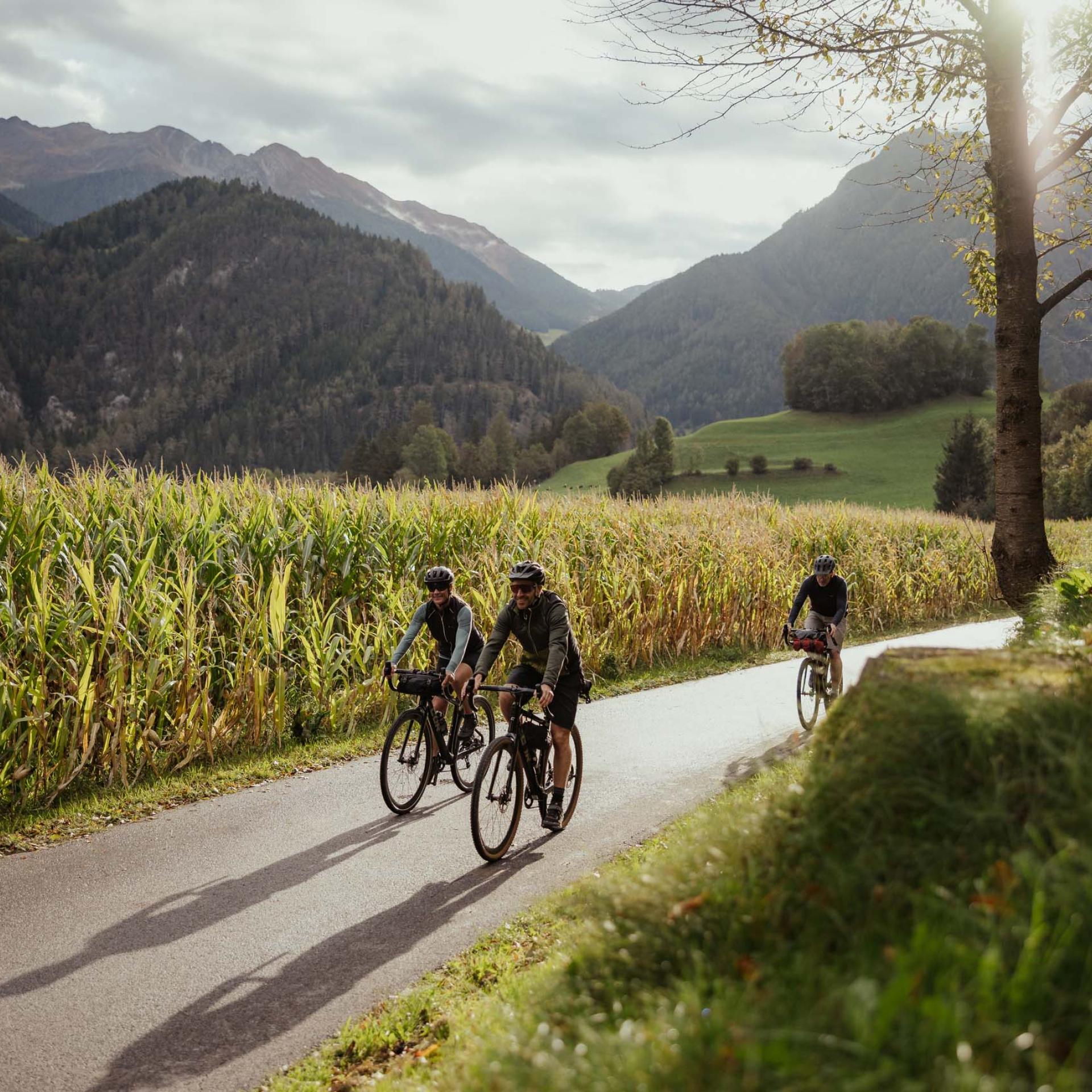 Radfahrer auf einem Weg durch ein Tal mit Maisfeld und Bergen – Schwarzer Adler