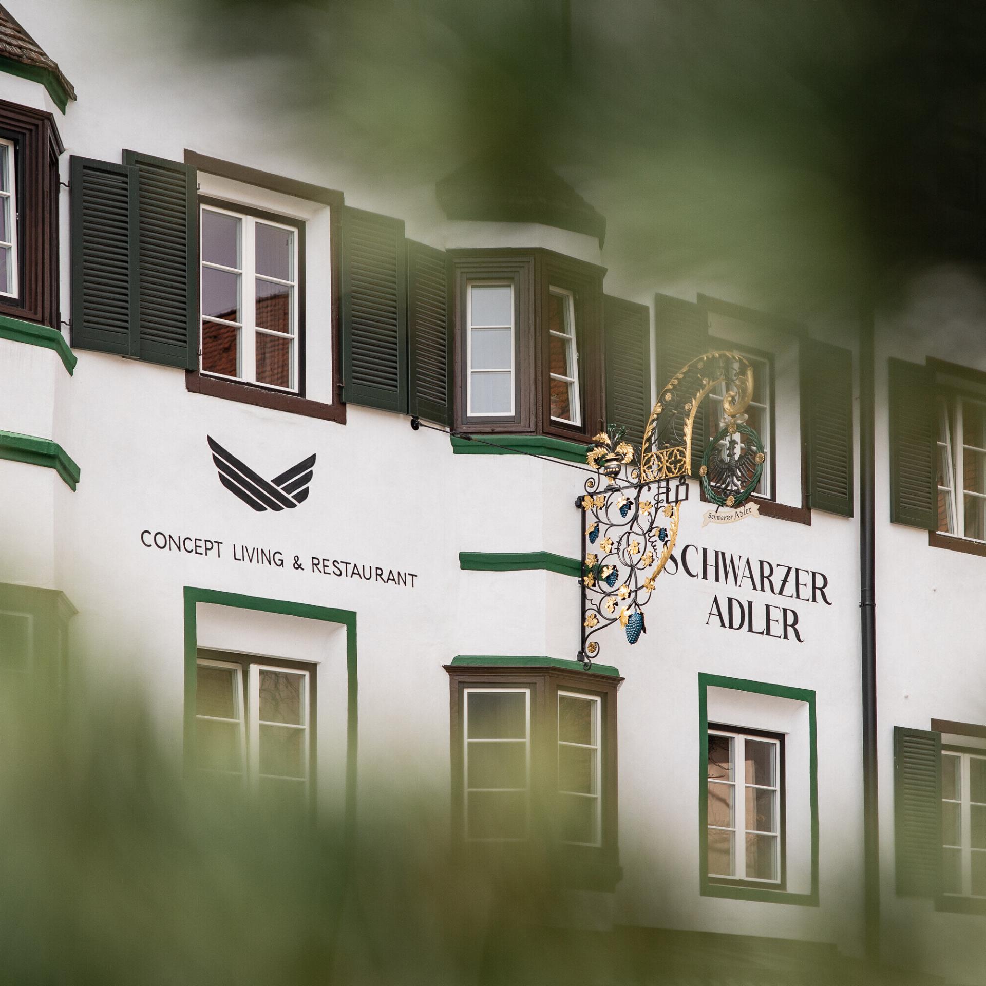 Schwarzer Adler Spring Escape -15 %