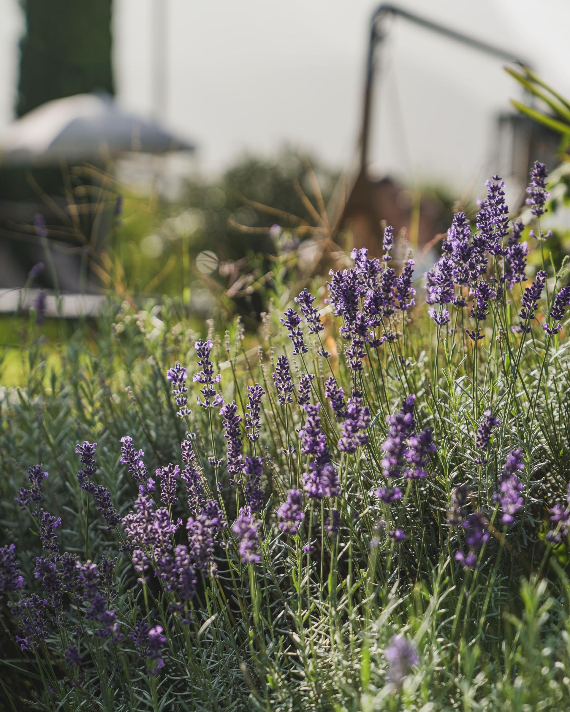 Sanfte Spätsommertage
