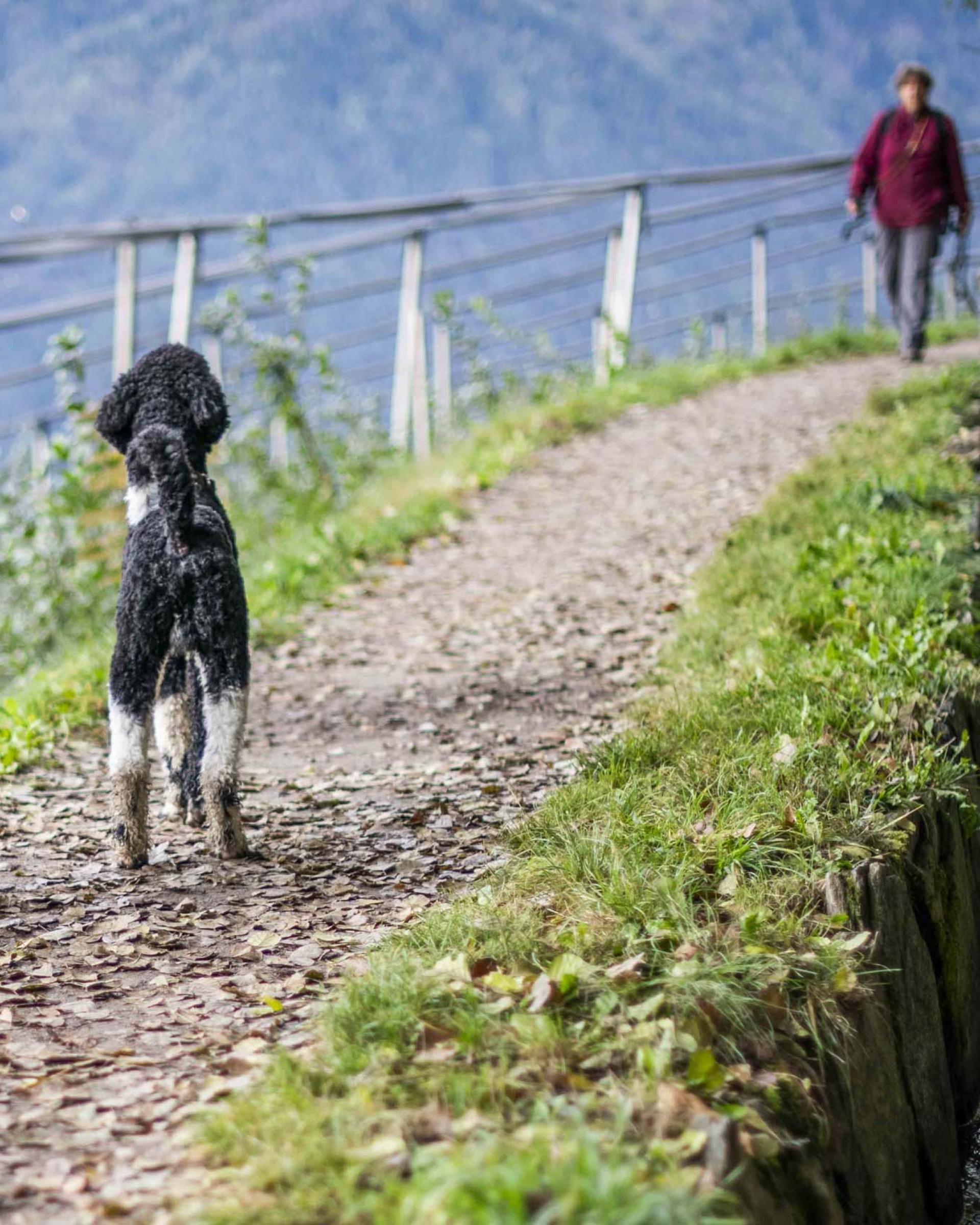 Emozioni di primavera 7=6