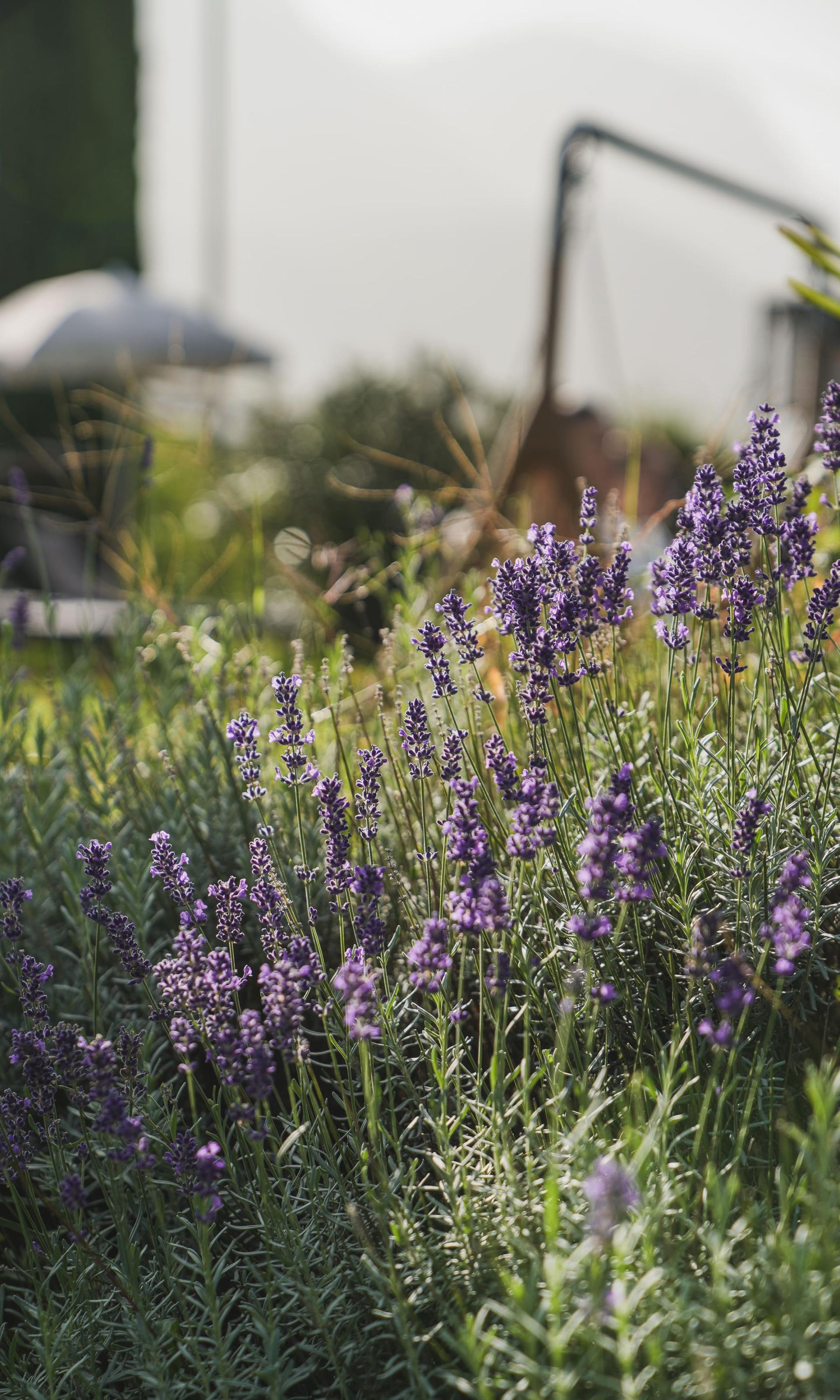 Sanfte Spätsommertage
