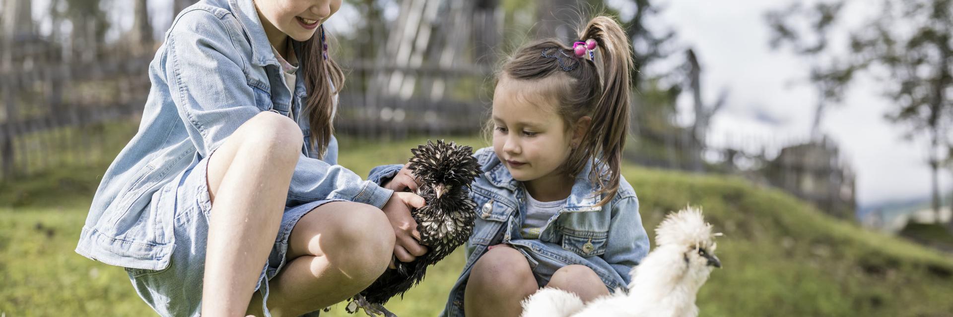 Sonniger Start in den Bergsommer