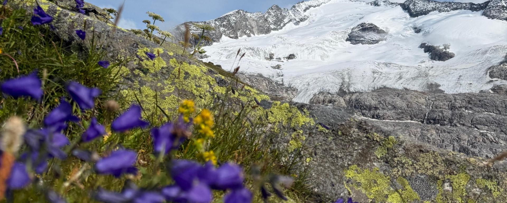 Venediger.Besteigung