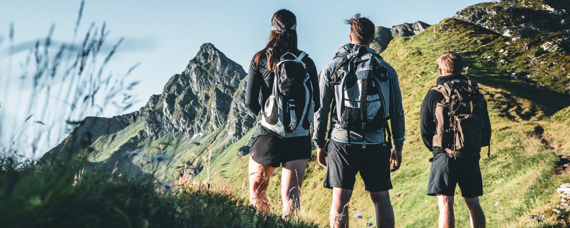 Drei Wanderer stehen mit Rucksack in der Natur und blicken auf die umliegenden Berggipfel