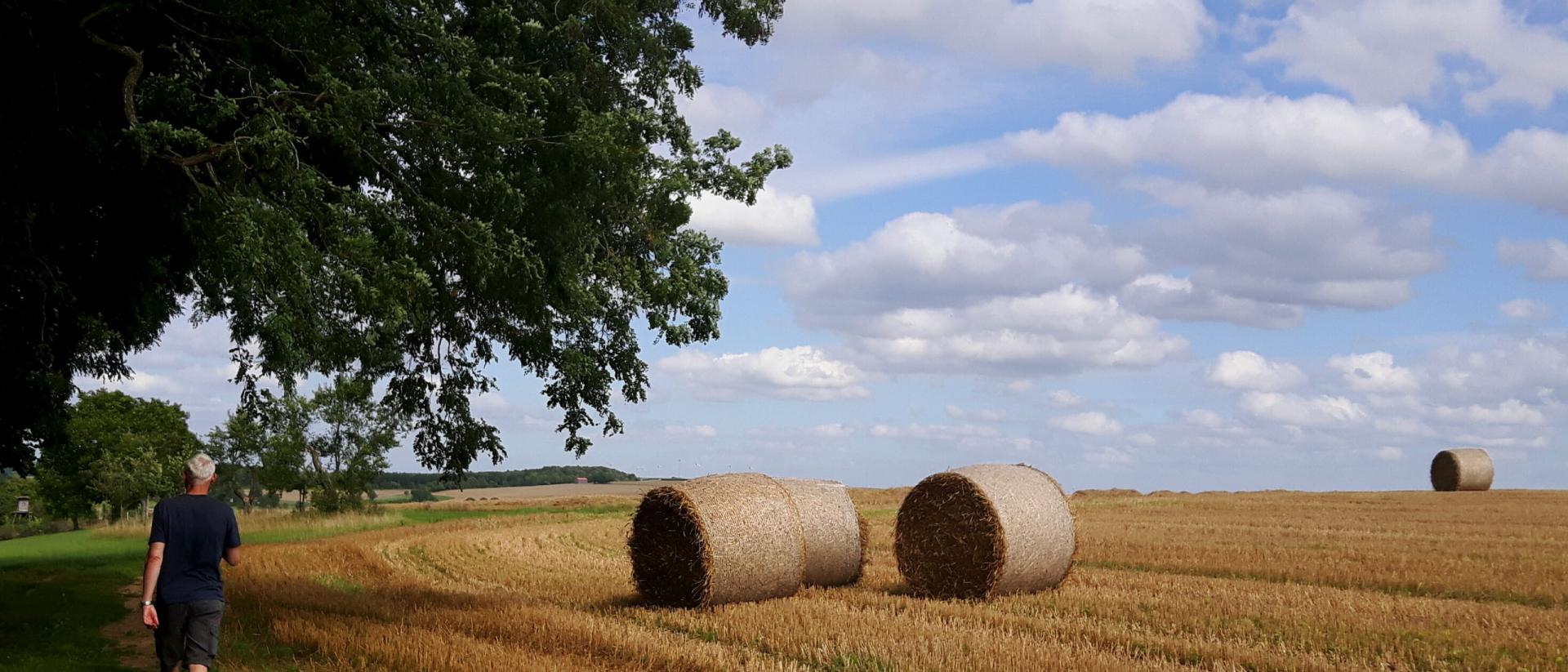 Wanderlust in der Südwestpfalz