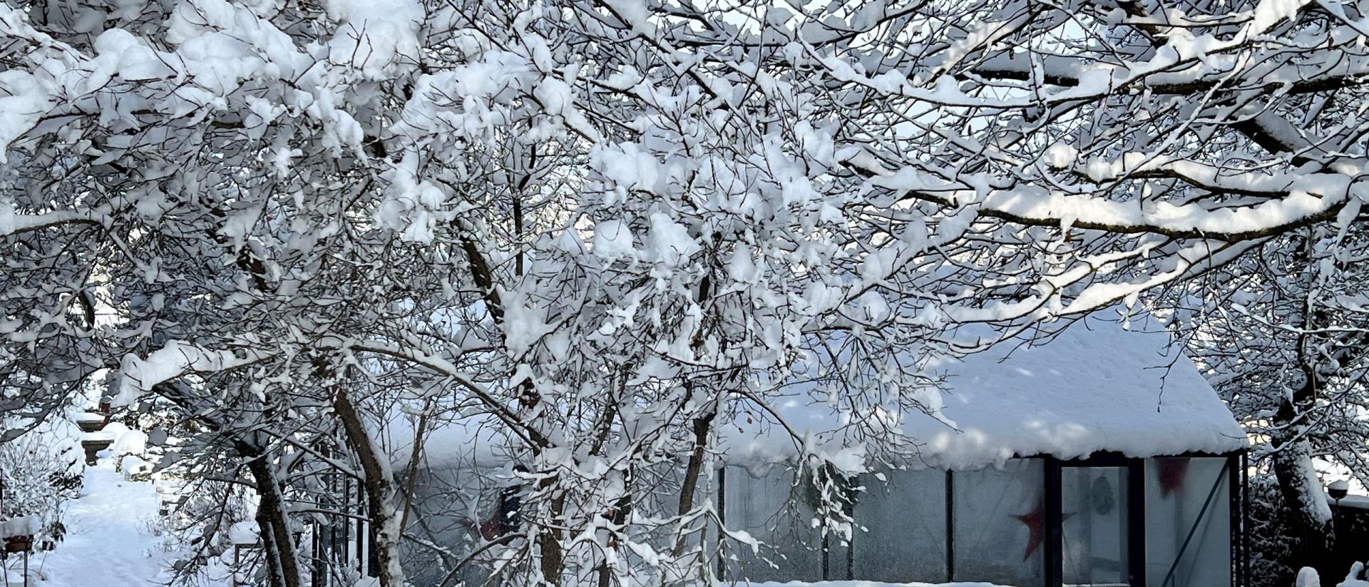 Zwischen den Jahren: eine Einladung mit Buch