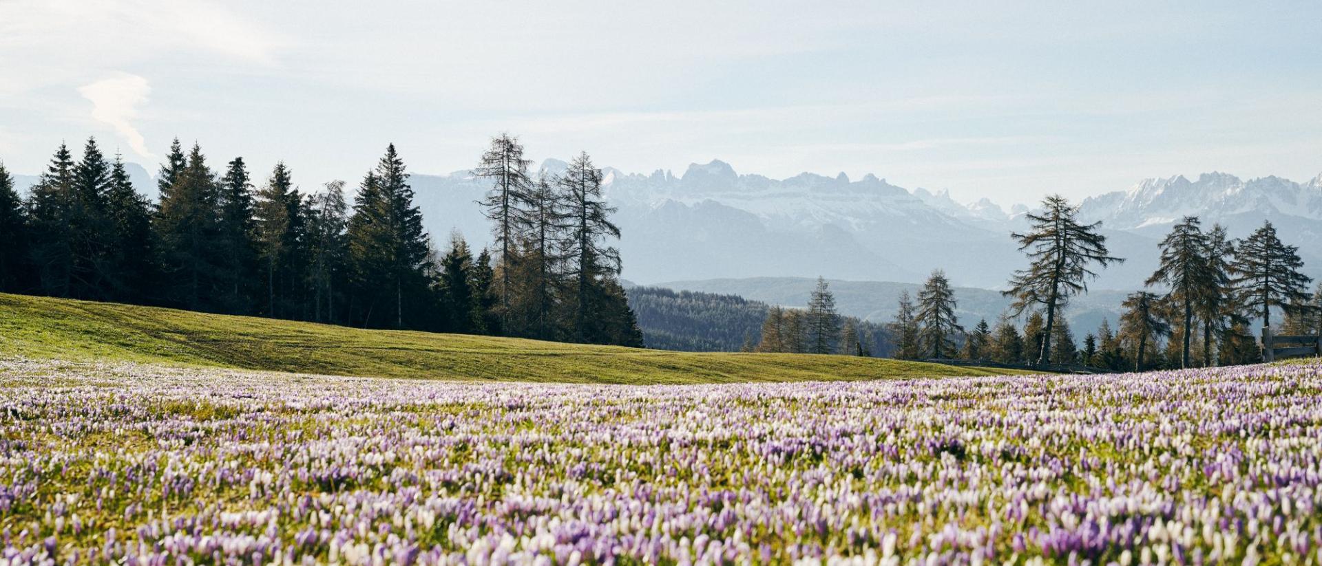 So läuft der Hase – Osterspecial