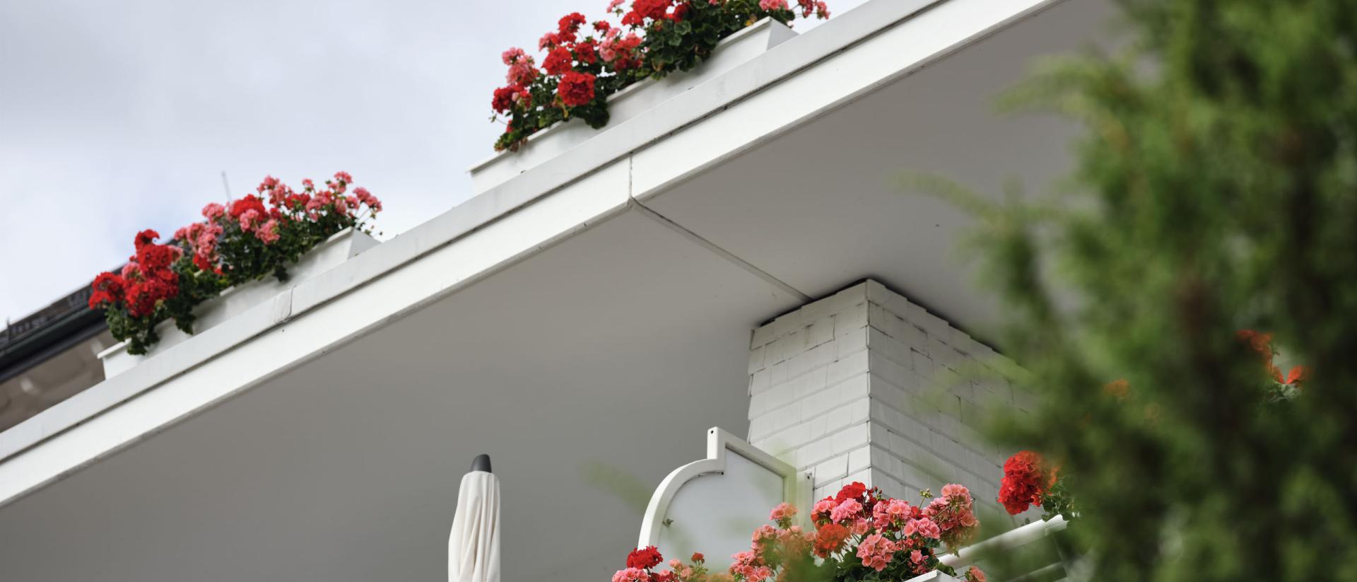 Blumen auf Balkonen am Hotel Reppert, Blick nach oben
