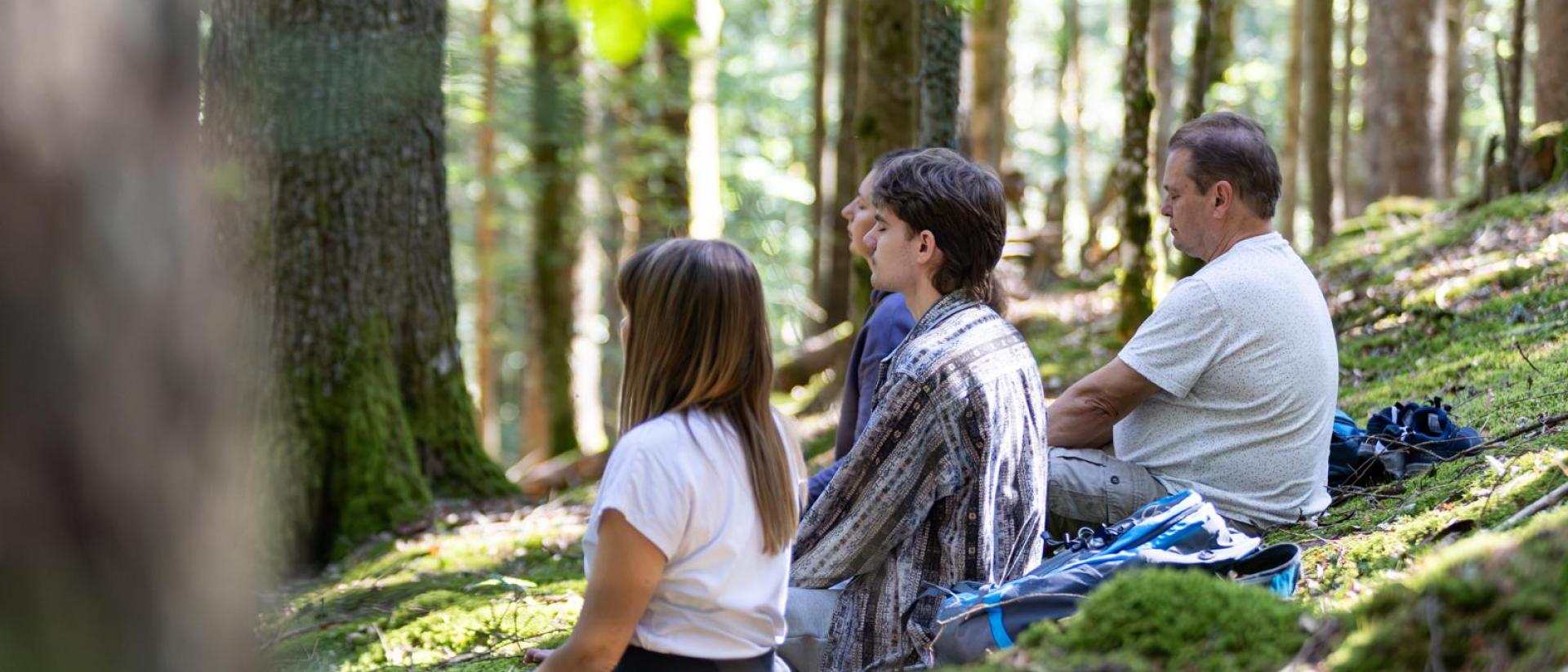 Hotel Reppert: Drei Personen sitzen inmitten einer grünen Waldlandschaft